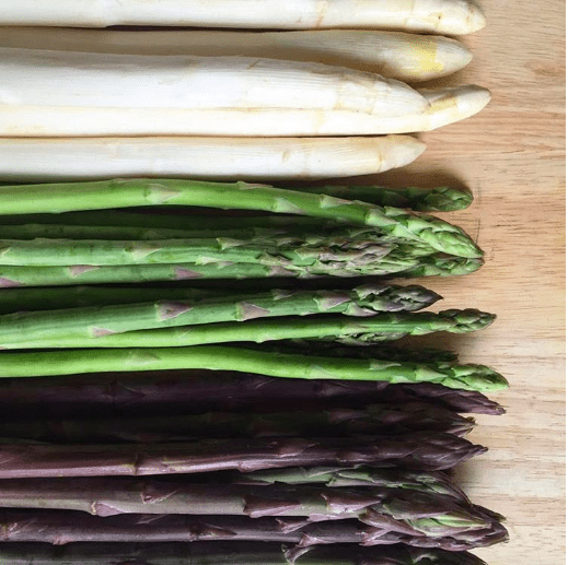 What Is White Asparagus (And Why Is it Different from Green and Purple?)