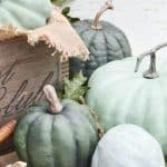End of summer slow down? 4 tips for curing the autumn blues