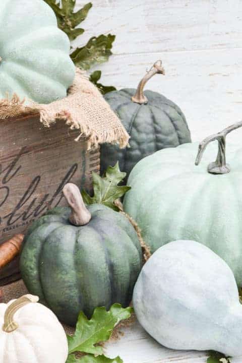 End of summer slow down? 4 tips for curing the autumn blues