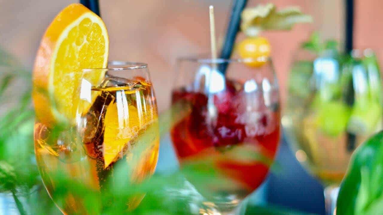 everything ever wanted know preventing hangover