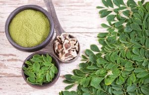 moringa the alarm 1