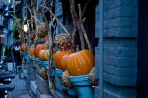halloween pumpkin
