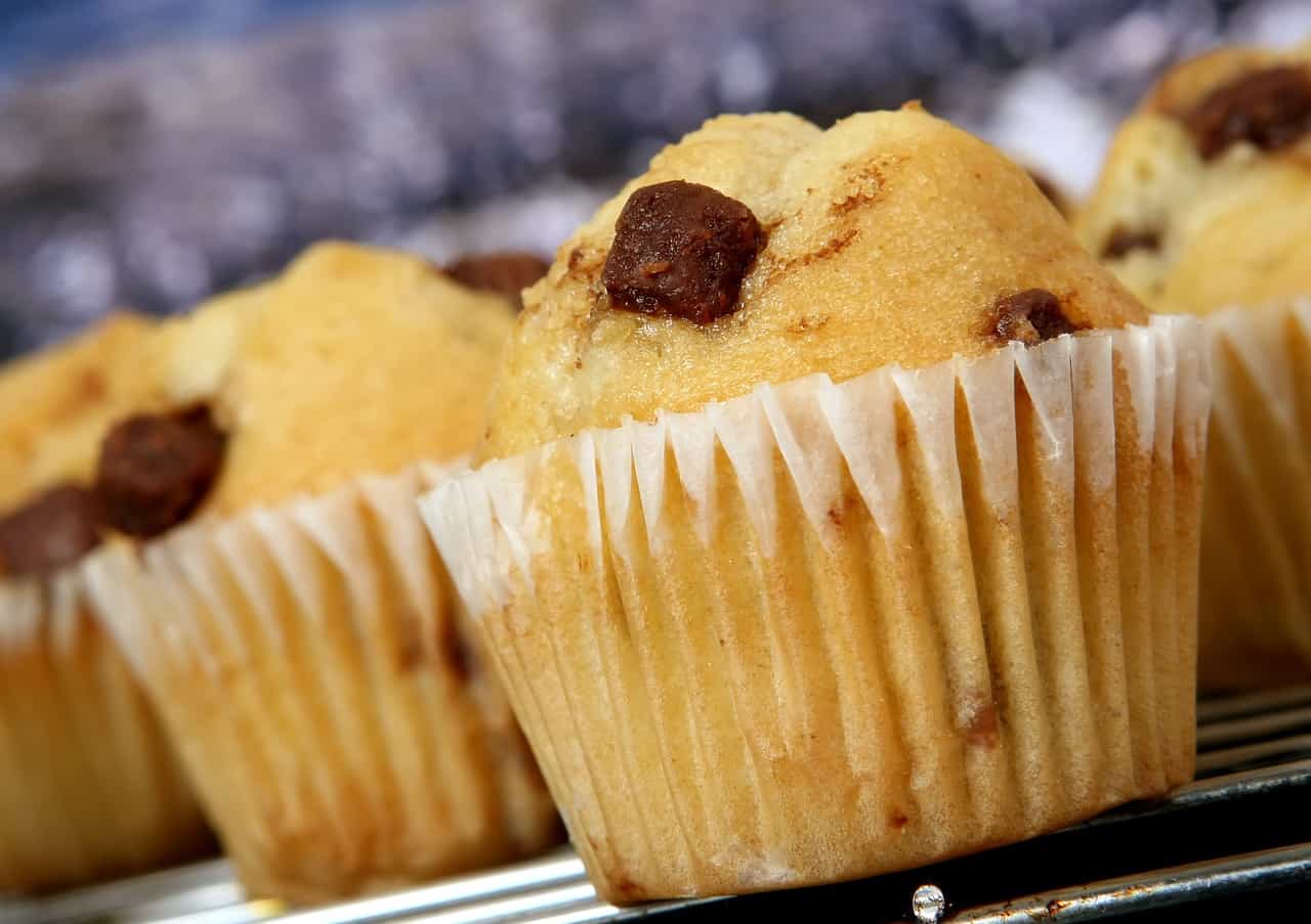 chocolate-chip-muffins