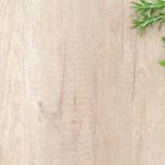 kitchen herbs garden