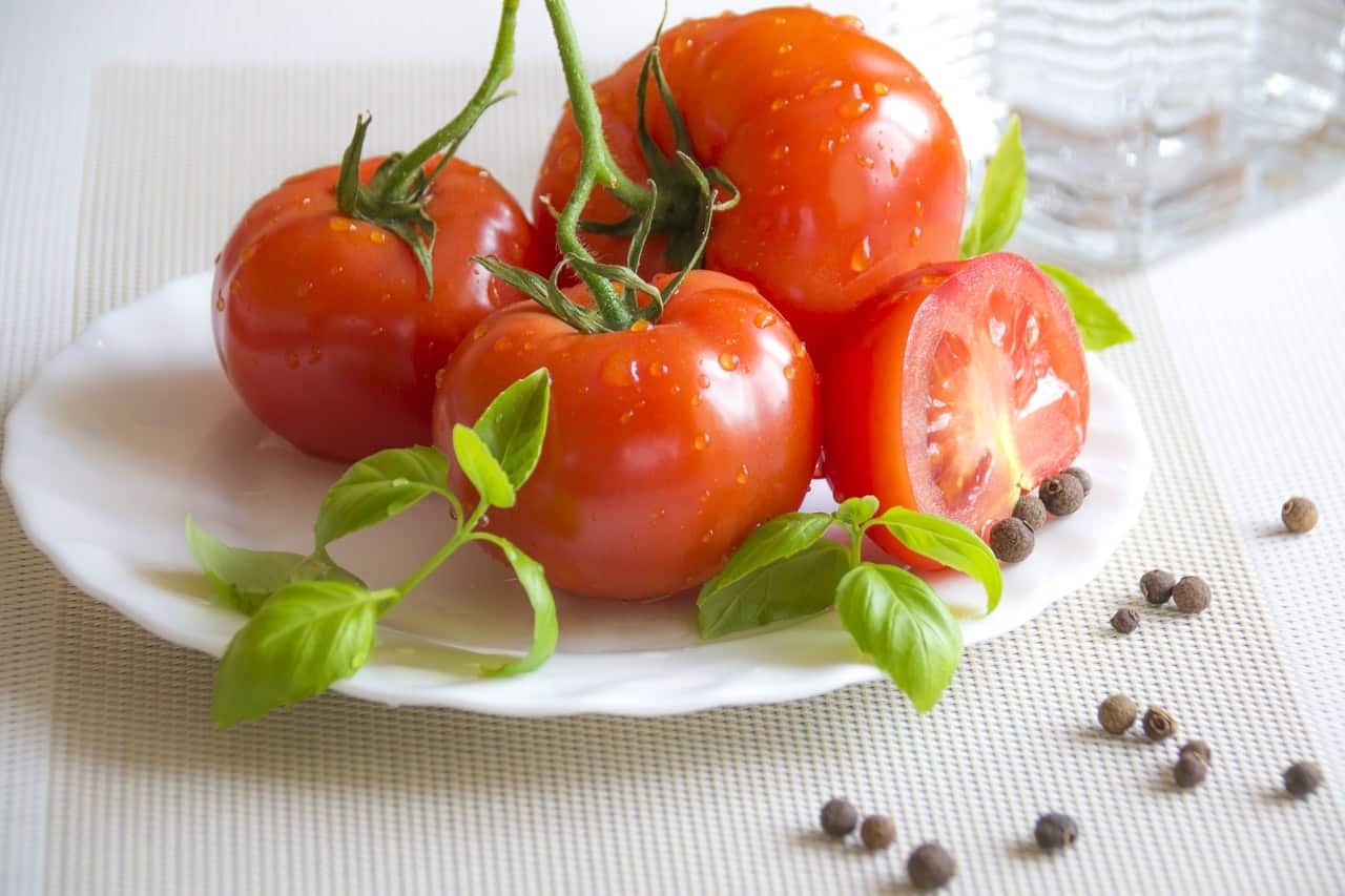 fresh-tomatoes