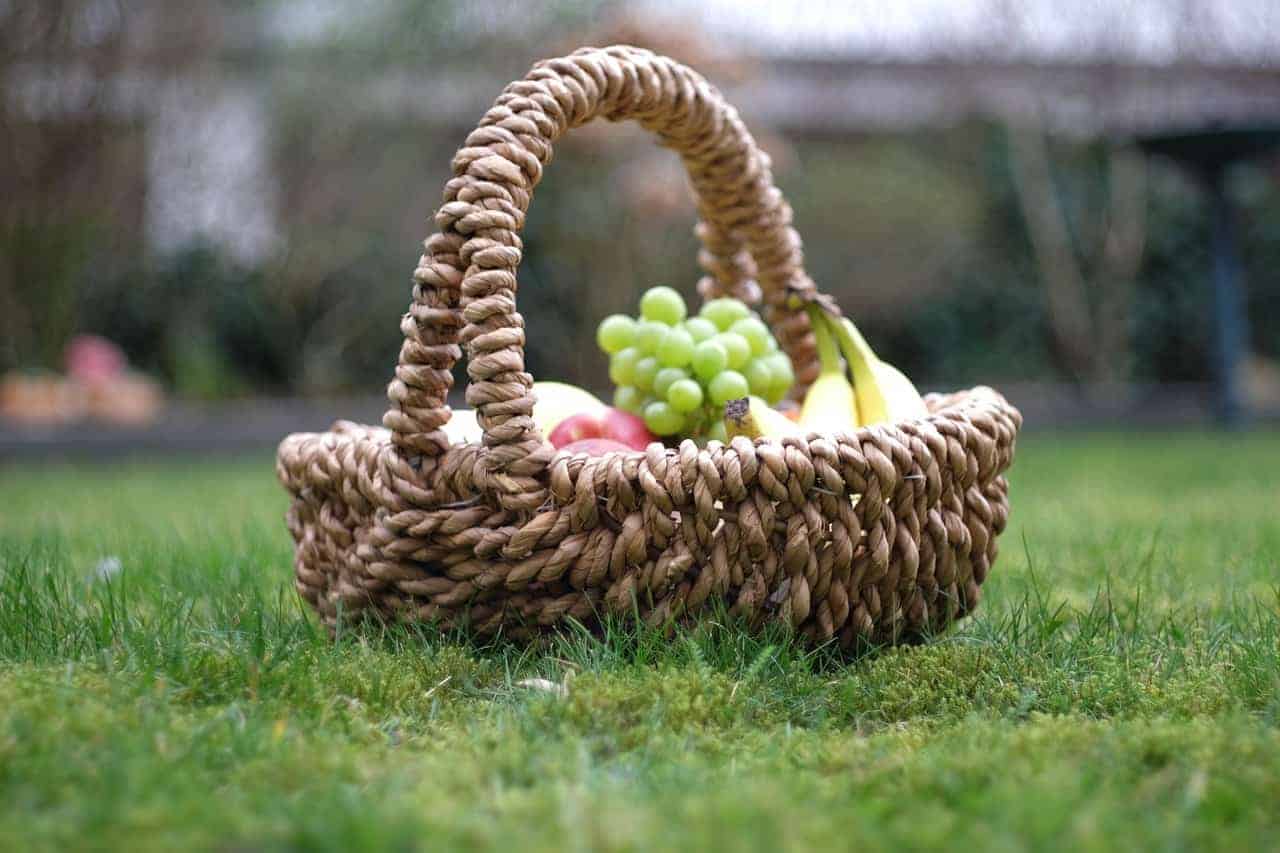 national picnic day is june 18 are you ready